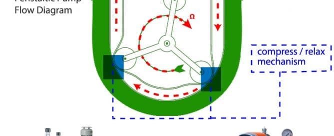 The Mechanism of Peristaltic Pumps and Their Benefits 10 Peristaltic Pump Flow Diagram and Compress Relax mechanism