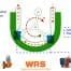 Peristaltic Pump Flow Diagram and Compress Relax mechanism