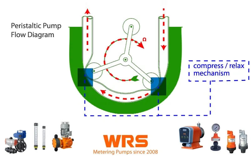Peristaltic Pump Flow Diagram and Compress Relax mechanism